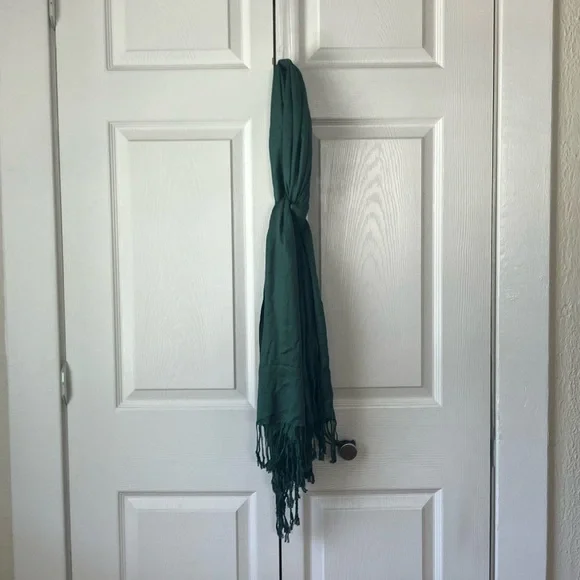 Dark Green 100% Cashmere Pashmina Scarf w/Fringe NEW - Picture 12 of 12